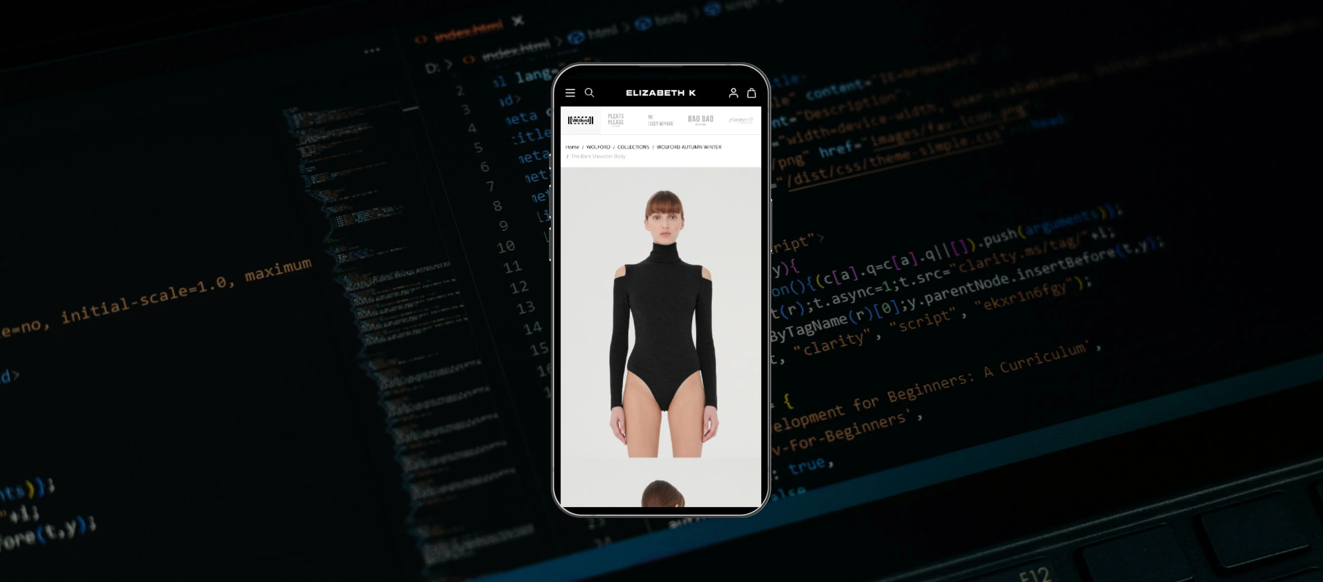 eCommerce store hosting on mobile
